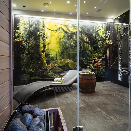 Szálloda Budzak Sebesér